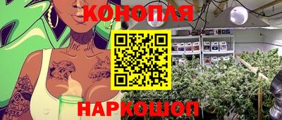 стафф Апшеронск