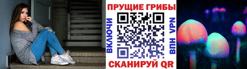 Галлюциногенные грибы Psilocybe  купить наркотики сайты  мега ONION  Баксан 