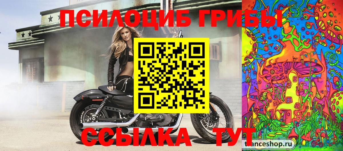 Галлюциногенные грибы прущие грибы  Вход с VPN  Баксан  Псилоцибиновые грибы мицелий 